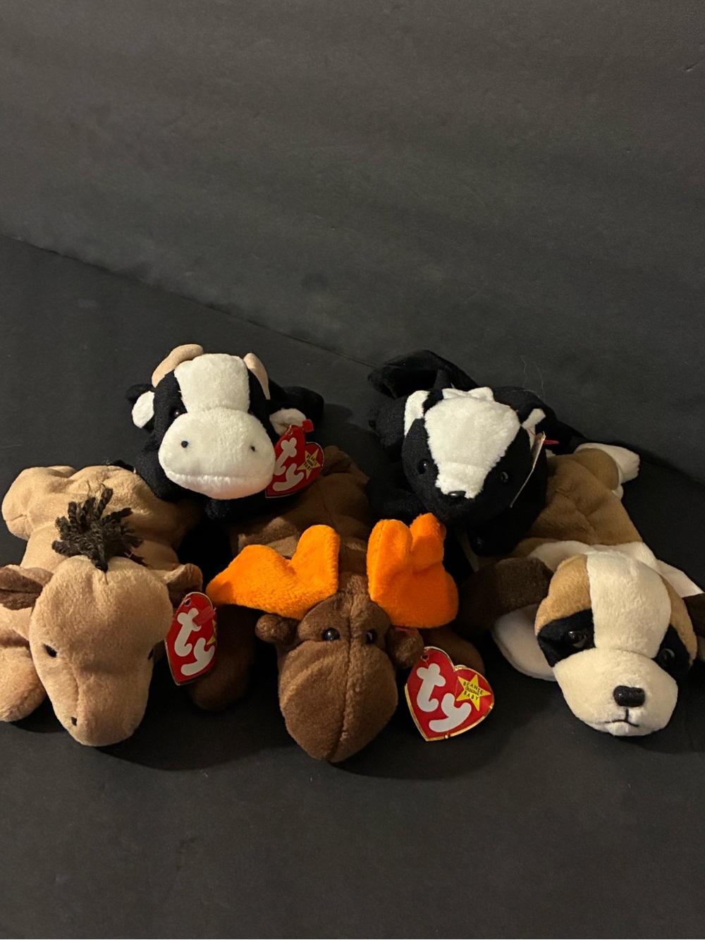 Ty Plush Animal Lot - Brown, Black, White, Orange Soft Stuffed Toys